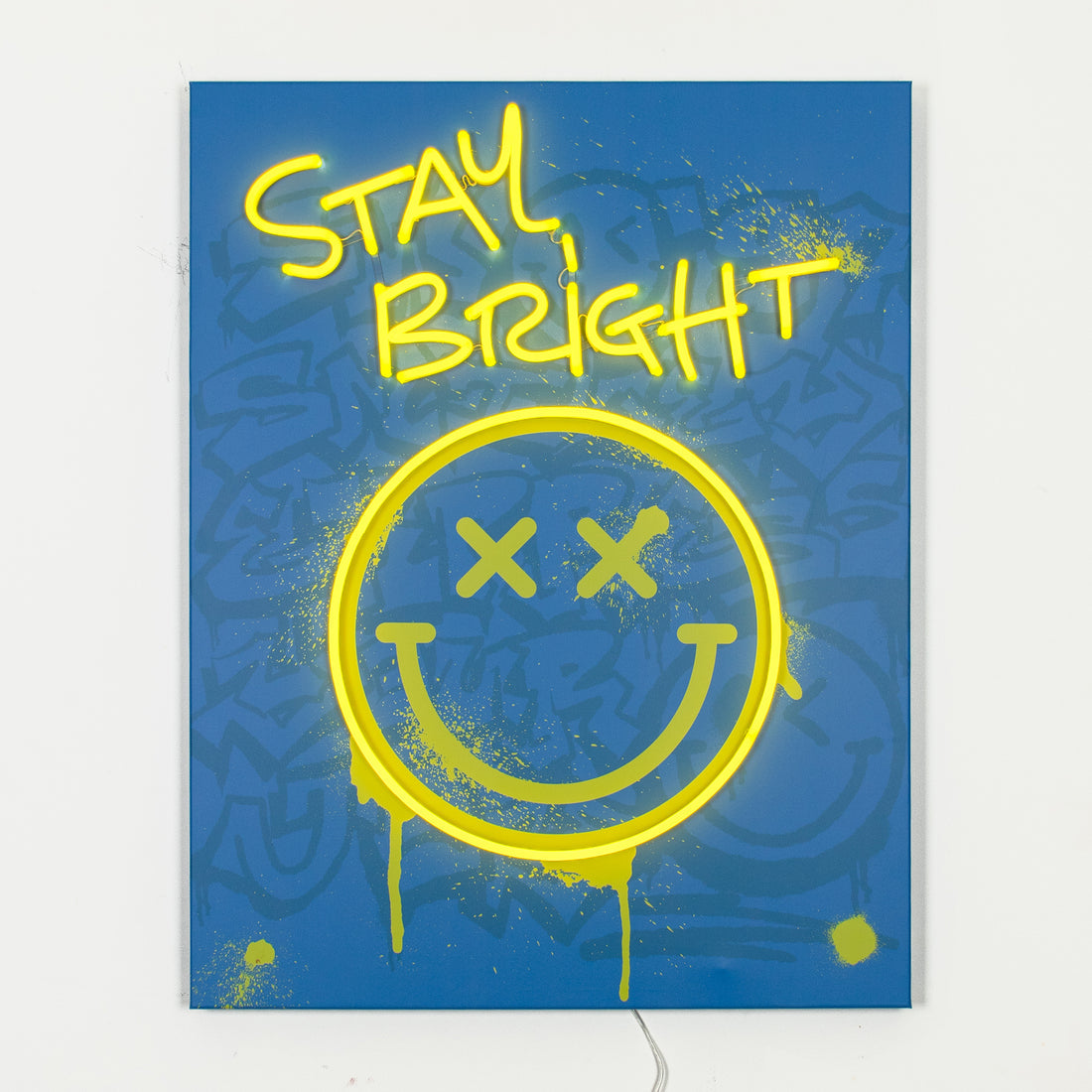 Stay Bright: S.W.Smiley LED Neon Canvas