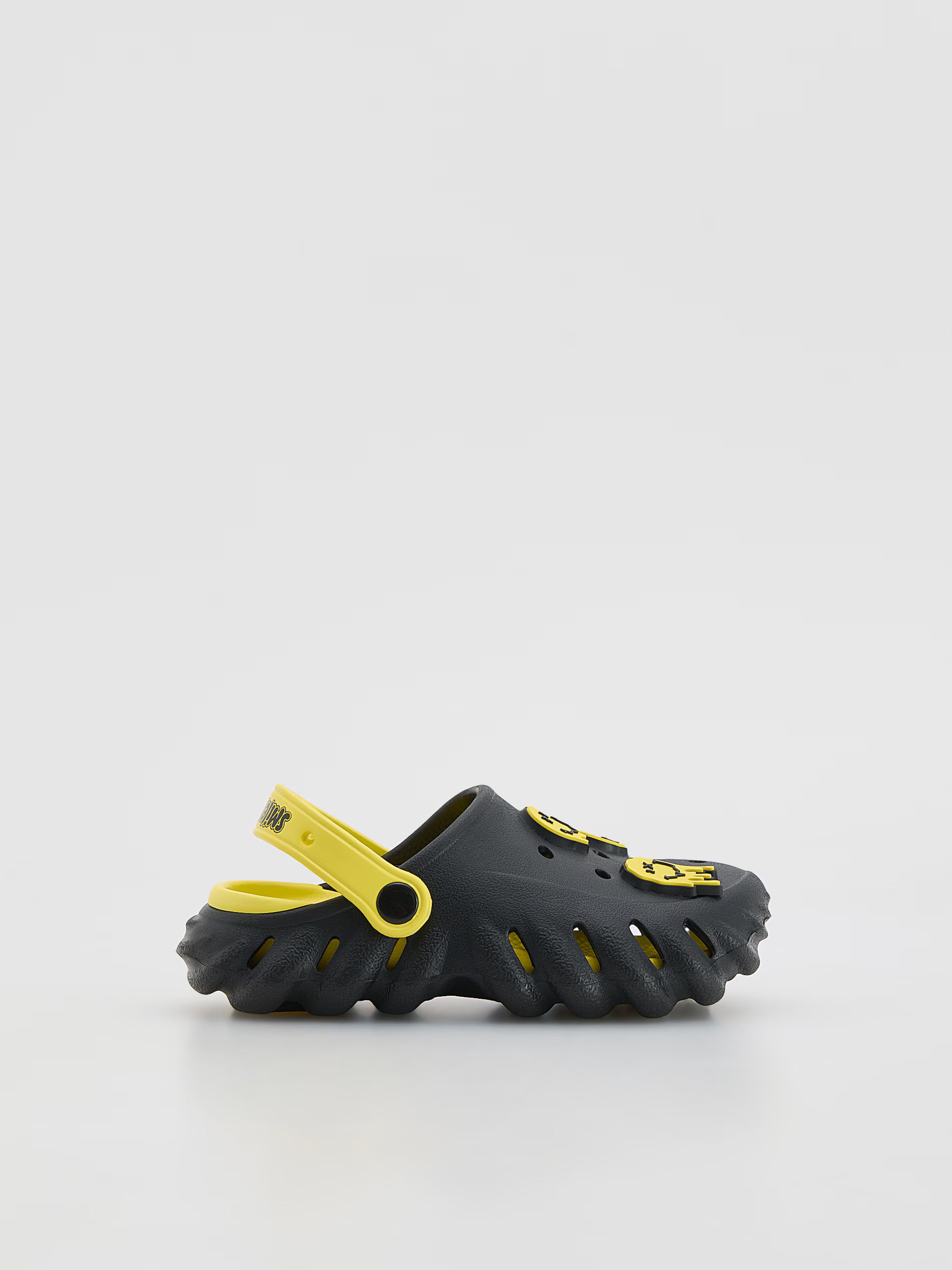 SmileyWorld® slides