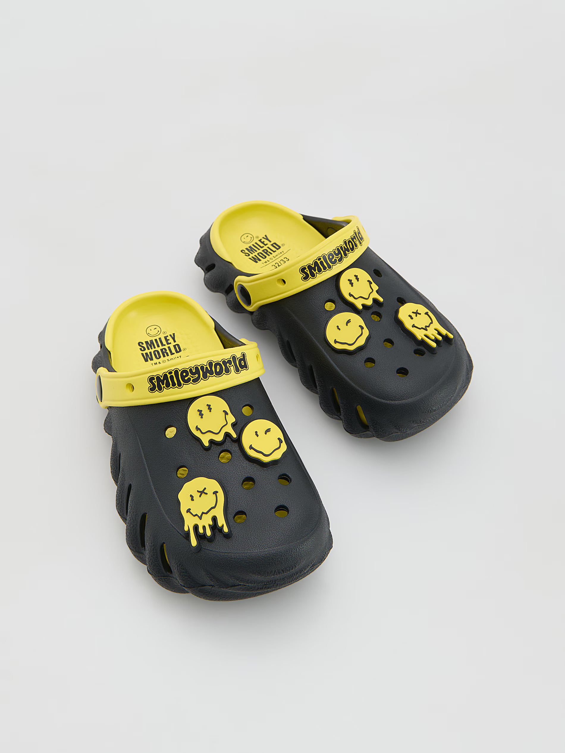 SmileyWorld® slides